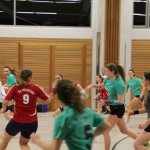 2016_01_23 Landesliga Frauen